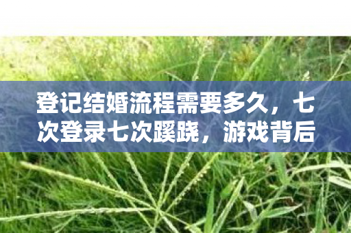 登记结婚流程需要多久，七次登录七次蹊跷，游戏背后真相让我后背发凉