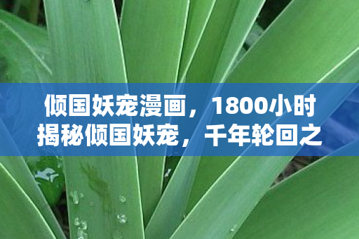 倾国妖宠漫画,1800小时揭秘倾国妖宠,千年轮回之谜,泪目终章待解 倾国妖宠漫画,1800小时揭秘倾国妖宠,千年轮回之谜,泪目终章待解