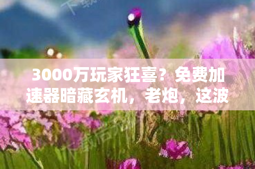 3000万玩家狂喜？免费加速器暗藏玄机，老炮，这波我直接绷不住！