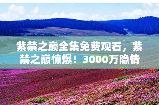 紫禁之巅全集免费观看，紫禁之巅惊爆！3000万隐情曝光，离职老兵掀桌，这操作真让人吓一跳！