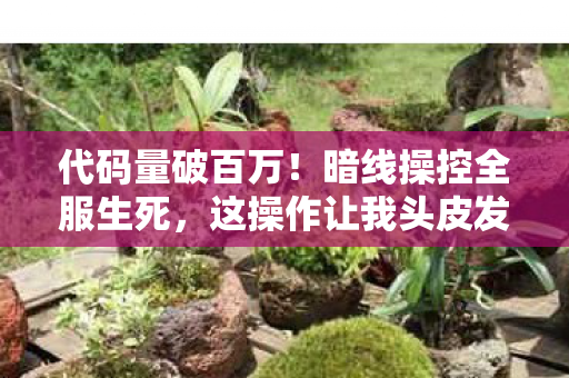 代码量破百万！暗线操控全服生死，这操作让我头皮发麻