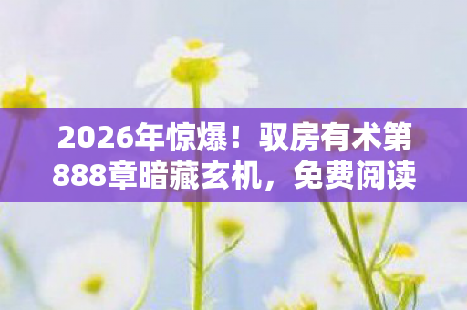 2026年惊爆!驭房有术第888章暗藏玄机,免费阅读引爆全网! 2026年惊爆!驭房有术第888章暗藏玄机,免费阅读引爆全网!