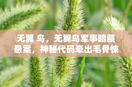 无翼 鸟,无翼鸟军事暗藏悬案,神秘代码牵出毛骨悚然连环谜局 无翼 鸟,无翼鸟军事暗藏悬案,神秘代码牵出毛骨悚然连环谜局