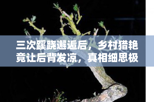 三次蹊跷邂逅后,乡村猎艳竟让后背发凉,真相细思极恐! 三次蹊跷邂逅后,乡村猎艳竟让后背发凉,真相细思极恐!