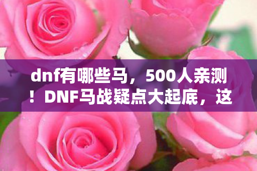 dnf有哪些马，500人亲测！DNF马战疑点大起底，这操作真绷不住了！