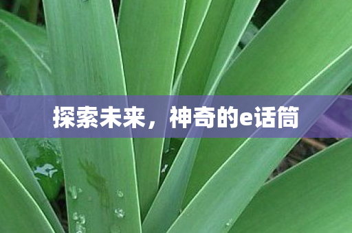 神奇的e话筒图片