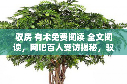 驭房 有术免费阅读 全文阅读,网吧百人受访揭秘,驭房有术免费阅读背后疑点,我绷不住了! 驭房 有术免费阅读 全文阅读,网吧百人受访揭秘,驭房有术免费阅读背后疑点,我绷不住了!