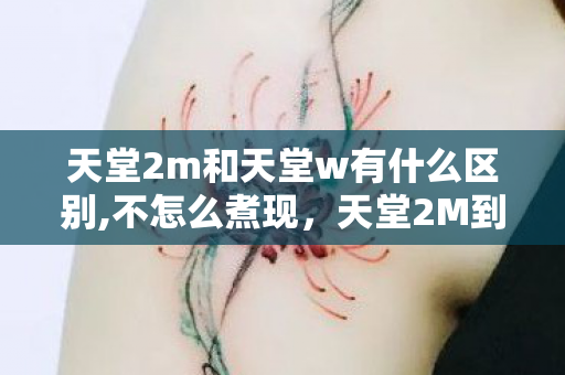 天堂2m和天堂w有什么区别,不怎么煮现，天堂2M到天堂W，落差大到能开过山车！真相揭晓后笑着笑着就哭了