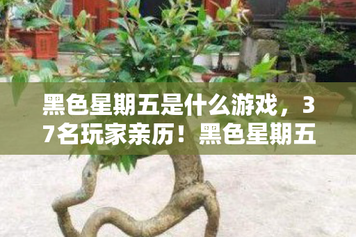 黑色星期五是什么游戏,37名玩家亲历!黑色星期五神秘BUG竟让大神萌新集体破防,绷不住了! 黑色星期五是什么游戏,37名玩家亲历!黑色星期五神秘BUG竟让大神萌新集体破防,绷不住了!