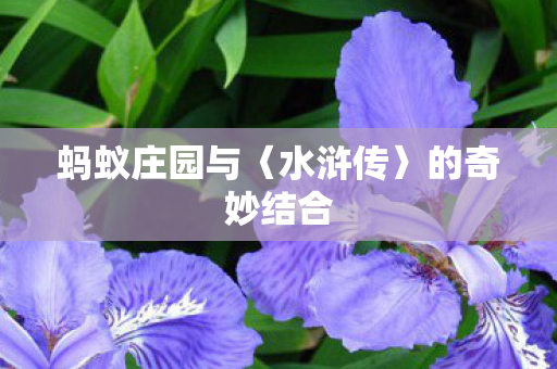 蚂蚁庄园与图片
