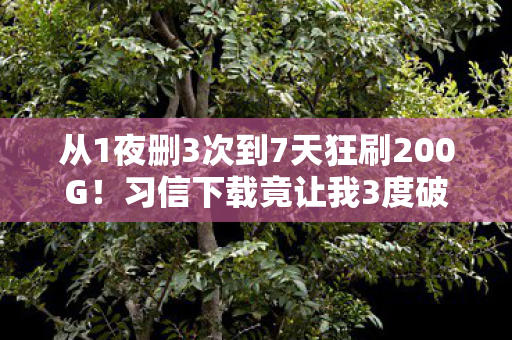 从1夜删3次到7天狂刷200G!习信下载竟让我3度破防? 从1夜删3次到7天狂刷200G!习信下载竟让我3度破防?