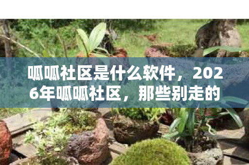 呱呱社区是什么软件,2026年呱呱社区,那些别走的伏笔,让我鼻子一酸 呱呱社区是什么软件,2026年呱呱社区,那些别走的伏笔,让我鼻子一酸