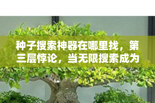 种子搜索神器在哪里找，第三层悖论，当无限搜索成为囚禁灵魂的终极牢笼