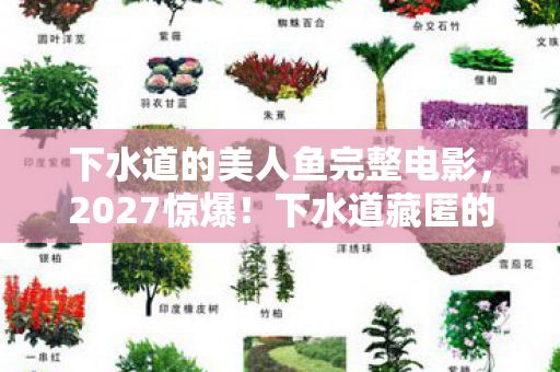 下水道的美人鱼完整电影，2027惊爆！下水道藏匿的美人鱼真相，99%人看完崩溃！