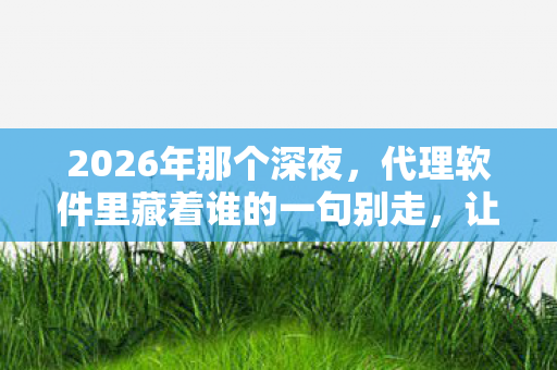 2026年那个深夜,代理软件里藏着谁的一句别走,让我鼻子一酸 2026年那个深夜,代理软件里藏着谁的一句别走,让我鼻子一酸