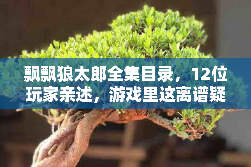 飘飘狼太郎全集目录,12位玩家亲述,游戏里这离谱疑点,竟让大神萌新集体绷不住! 飘飘狼太郎全集目录,12位玩家亲述,游戏里这离谱疑点,竟让大神萌新集体绷不住!