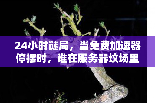 24小时谜局,当免费加速器停摆时,谁在服务器坟场里泪目? 24小时谜局,当免费加速器停摆时,谁在服务器坟场里泪目?