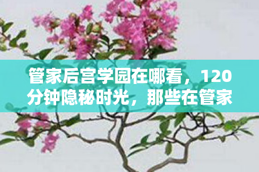 管家后宫学园在哪看，120分钟隐秘时光，那些在管家后宫学园里哽咽过的深夜