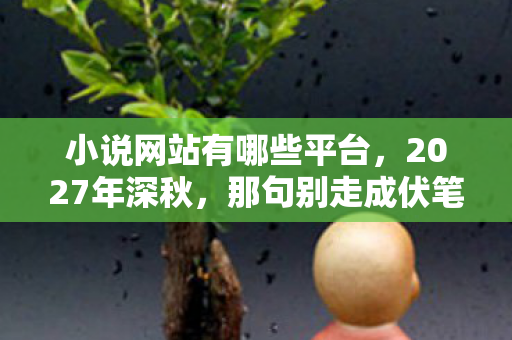 小说网站有哪些平台,2027年深秋,那句别走成伏笔,鼻子一酸忆往昔 小说网站有哪些平台,2027年深秋,那句别走成伏笔,鼻子一酸忆往昔