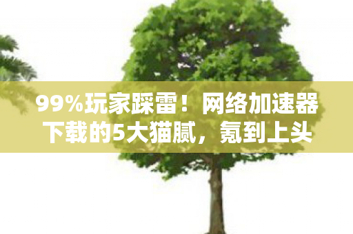 99%玩家踩雷!网络加速器下载的5大猫腻,氪到上头还卡成PPT 99%玩家踩雷!网络加速器下载的5大猫腻,氪到上头还卡成PPT