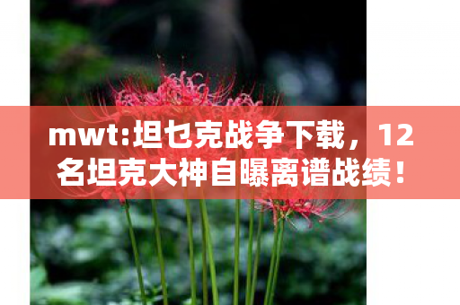 mwt:坦乜克战争下载,12名坦克大神自曝离谱战绩!神秘数据漏洞竟让99%玩家绷不住? mwt:坦乜克战争下载,12名坦克大神自曝离谱战绩!神秘数据漏洞竟让99%玩家绷不住?