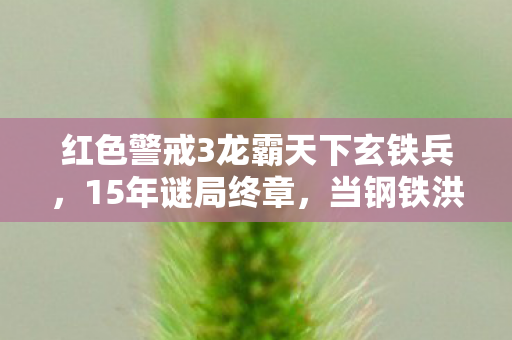 红色警戒3龙霸天下玄铁兵,15年谜局终章,当钢铁洪流撞碎樱花,谁在废墟里刻下泪目坐标? 红色警戒3龙霸天下玄铁兵,15年谜局终章,当钢铁洪流撞碎樱花,谁在废墟里刻下泪目坐标?