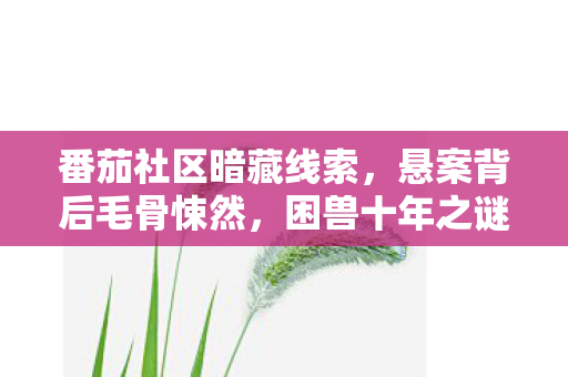 番茄社区暗藏线索,悬案背后毛骨悚然,困兽十年之谜 番茄社区暗藏线索,悬案背后毛骨悚然,困兽十年之谜
