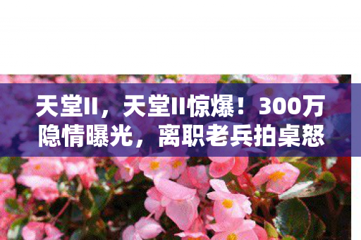 天堂II,天堂II惊爆!300万隐情曝光,离职老兵拍桌怒吼,这操作真让人吓一跳! 天堂II,天堂II惊爆!300万隐情曝光,离职老兵拍桌怒吼,这操作真让人吓一跳!