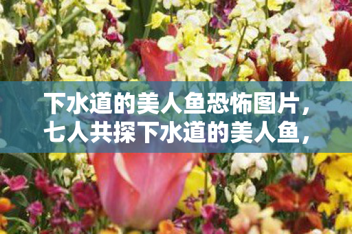 下水道的美人鱼恐怖图片，七人共探下水道的美人鱼，谜团重重终迎集体破防时刻！