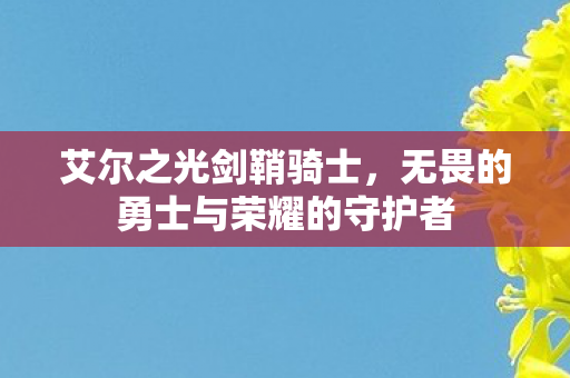无畏的勇士与荣耀的守护者图片