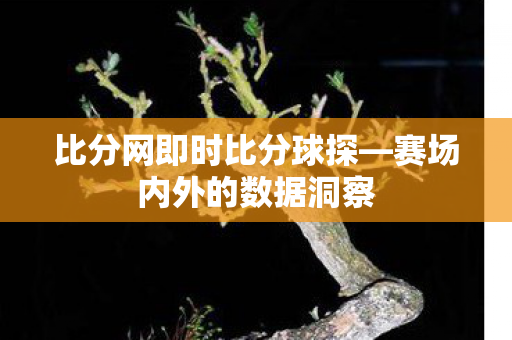 比分网即时比分球探图片