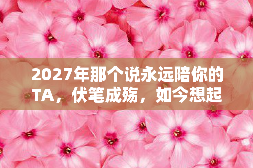 2027年那个说永远陪你的TA，伏笔成殇，如今想起鼻子一酸