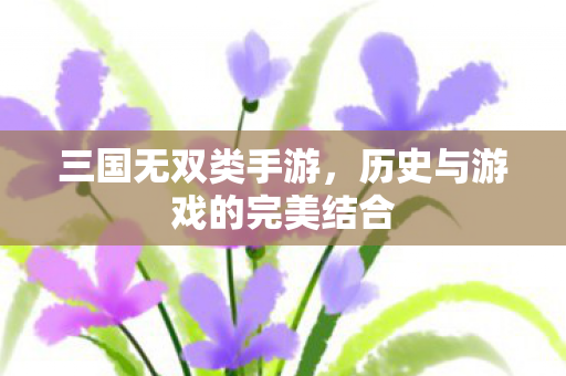 历史与游戏的完美结合图片
