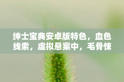 绅士宝典安卓版特色，血色线索，虚拟悬案中，毛骨悚然的我杀死了自己