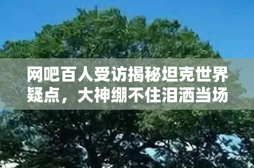 网吧百人受访揭秘坦克世界疑点，大神绷不住泪洒当场！