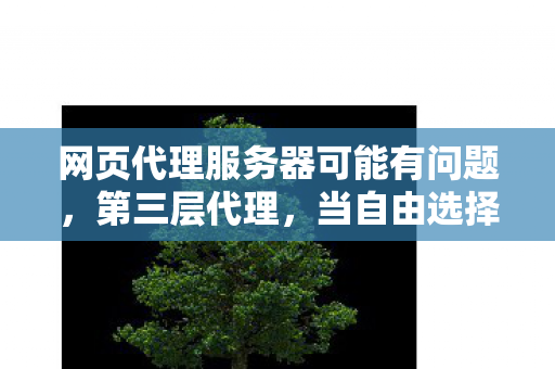 网页代理服务器可能有问题,第三层代理,当自由选择成为命运牢笼的终极悖论 网页代理服务器可能有问题,第三层代理,当自由选择成为命运牢笼的终极悖论