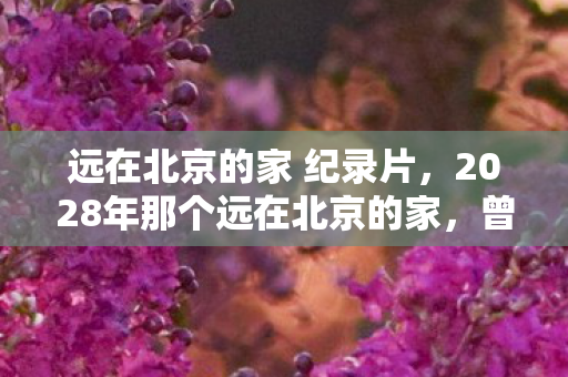 远在北京的家 纪录片,2028年那个远在北京的家,曾说永不散场,如今想起鼻子一酸 远在北京的家 纪录片,2028年那个远在北京的家,曾说永不散场,如今想起鼻子一酸
