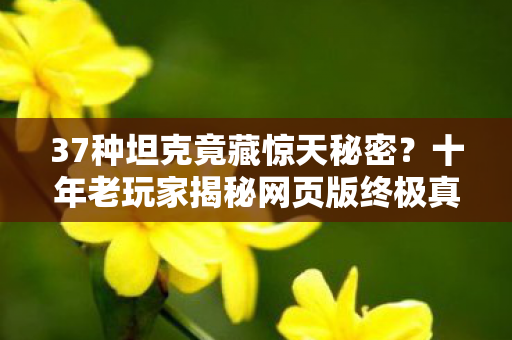 37种坦克竟藏惊天秘密？十年老玩家揭秘网页版终极真相！