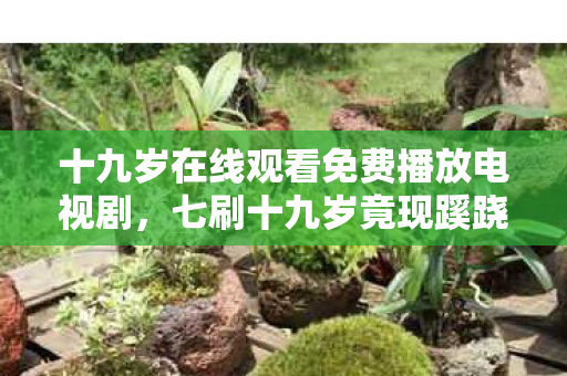 十九岁在线观看免费播放电视剧，七刷十九岁竟现蹊跷画面，后背发凉！真相藏在哪？