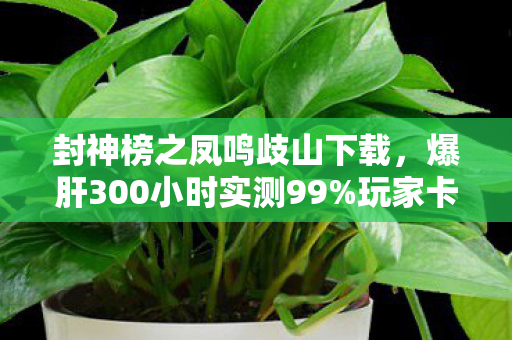 封神榜之凤鸣歧山下载，爆肝300小时实测99%玩家卡死的隐藏关卡，竟藏着封神榜最痛的真相？