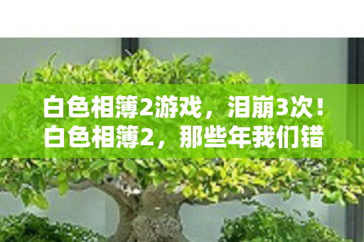 白色相簿2游戏,泪崩3次!白色相簿2,那些年我们错过的100种心动与遗憾 白色相簿2游戏,泪崩3次!白色相簿2,那些年我们错过的100种心动与遗憾