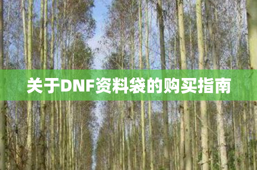 关于DNF资料袋的购买指南图片