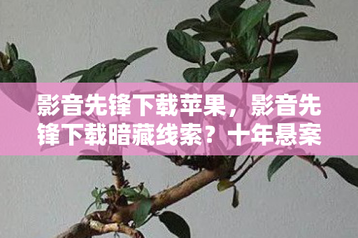 影音先锋下载苹果，影音先锋下载暗藏线索？十年悬案背后，毛骨悚然真相待揭！