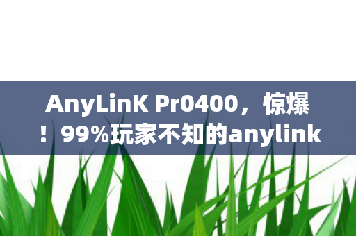 AnyLinK Pr0400,惊爆!99%玩家不知的anylink隐藏技巧,泪目结局谁懂? AnyLinK Pr0400,惊爆!99%玩家不知的anylink隐藏技巧,泪目结局谁懂?