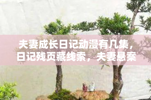 夫妻成长日记动漫有几集，日记残页藏线索，夫妻悬案引毛骨悚然真相待揭