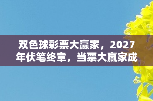 双色球彩票大赢家，2027年伏笔终章，当票大赢家成绝响，鼻子一酸翻遍聊天记录