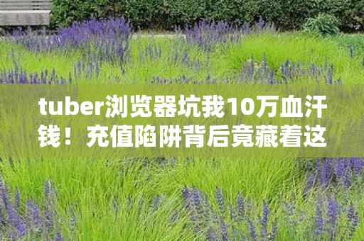 tuber浏览器坑我10万血汗钱！充值陷阱背后竟藏着这些见不得光的操作！