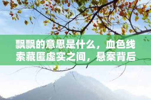 飘飘的意思是什么，血色线索藏匿虚实之间，悬案背后毛骨悚然真相待揭
