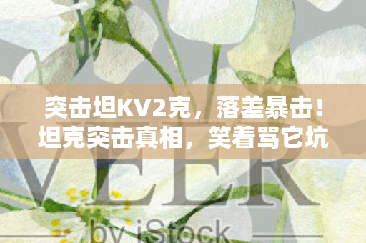 突击坦KV2克，落差暴击！坦克突击真相，笑着骂它坑，哭着充月卡