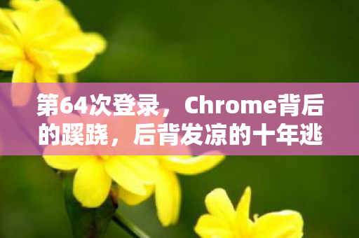 第64次登录，Chrome背后的蹊跷，后背发凉的十年逃亡